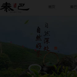 茶叶专卖网站商城建设