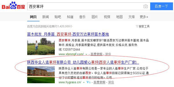 华业网站关键词“沧州草坪”排名展示
